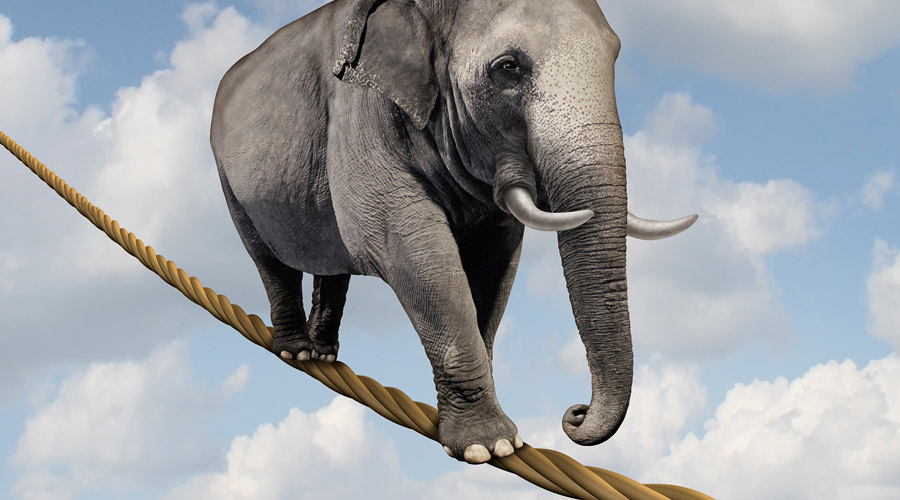 A tightrope-walking elephant